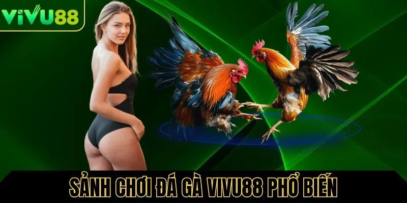 Sảnh chơi đá gà phổ biến tại Vivu88